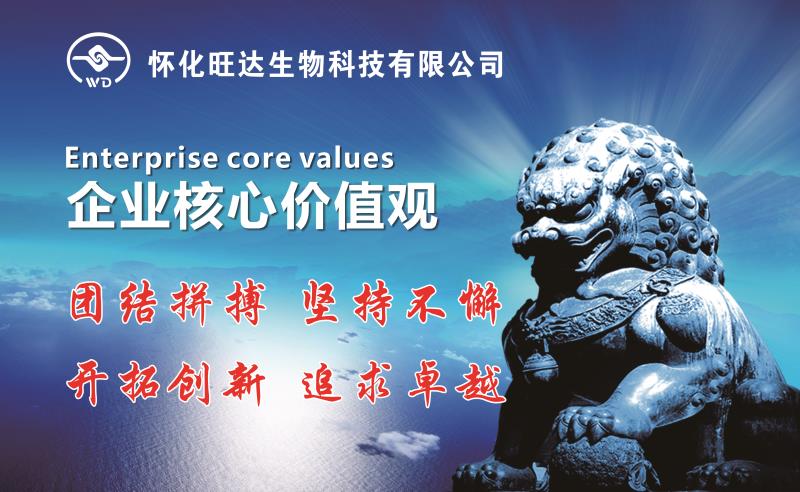 乐动手机入口
