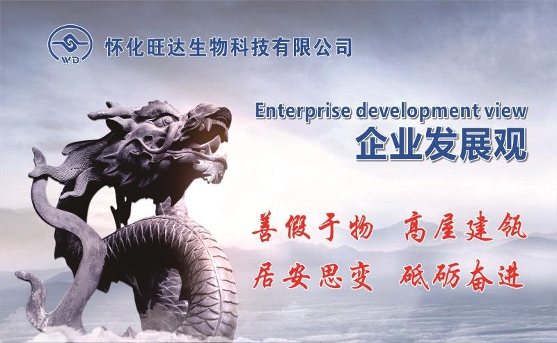 乐动手机入口