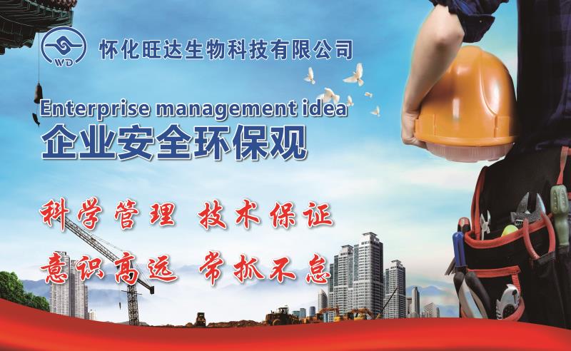 乐动手机入口