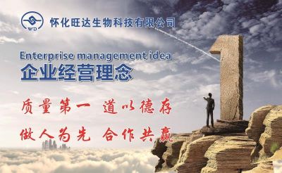 乐动手机入口