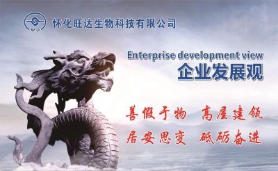 乐动手机入口