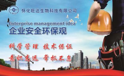 乐动手机入口