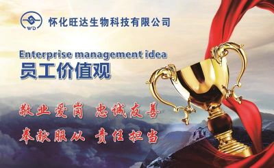 乐动手机入口